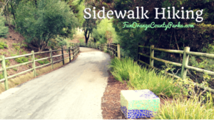 Sidewalk Hiking