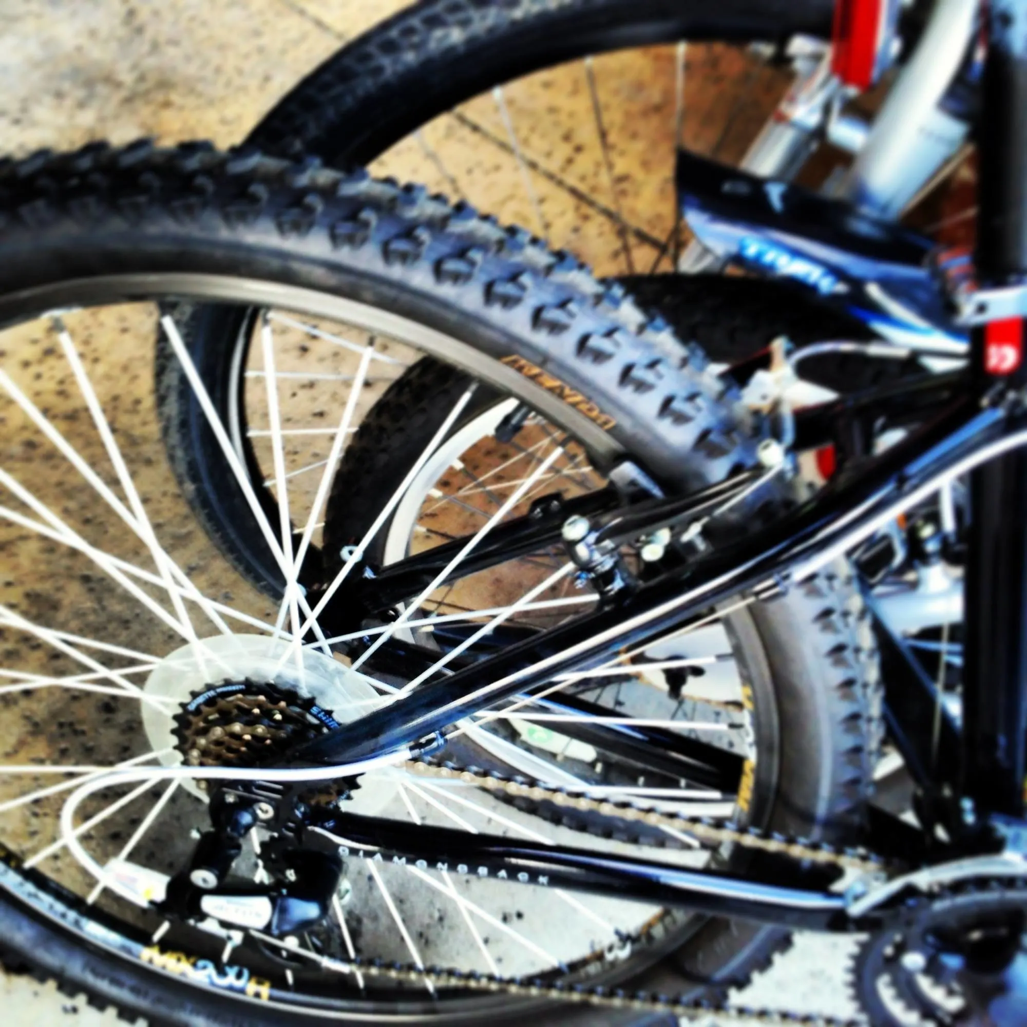 flat biking - bike tires