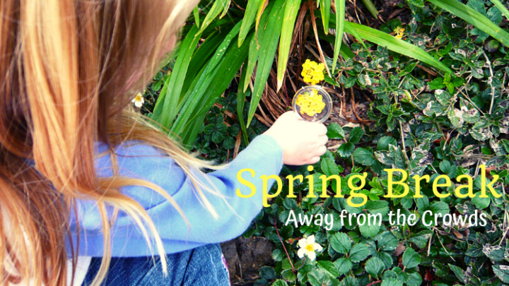 9 Ideas for Spring Break Family Activities Away From The Crowds