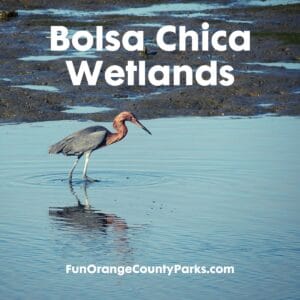 Bolsa Chica Ecological Reserve - PCH Entrance