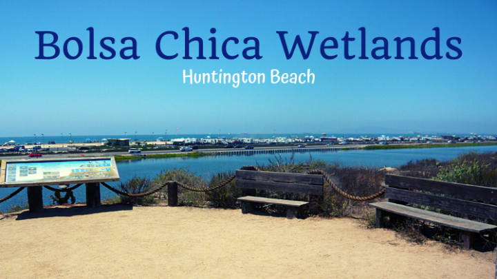 Bolsa Chica Wetlands: Historical Armaments and Nesting Grounds
