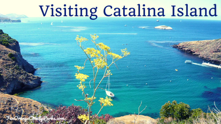 How to Visit Catalina Island: A Brief Tutorial on the Basics