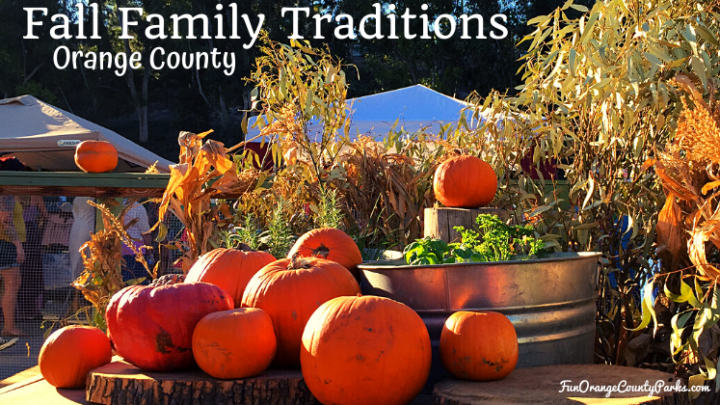 Best Outdoor Fall Family Traditions in OC 2023