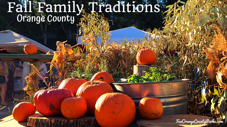 Best Outdoor Fall Family Traditions in OC 2024