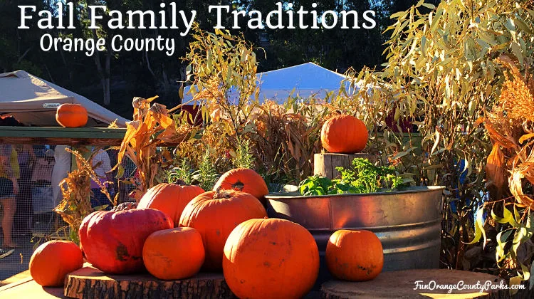 Best Outdoor Fall Family Traditions in OC 2024