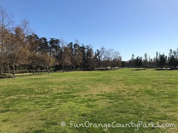 cedar grove park tustin grassy area