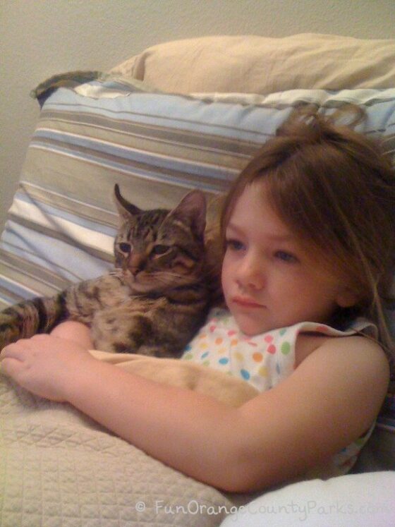 richard louv nature books - little girl snuggling with a kitten