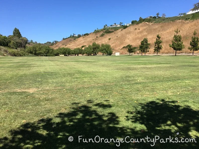 lawn area with shade