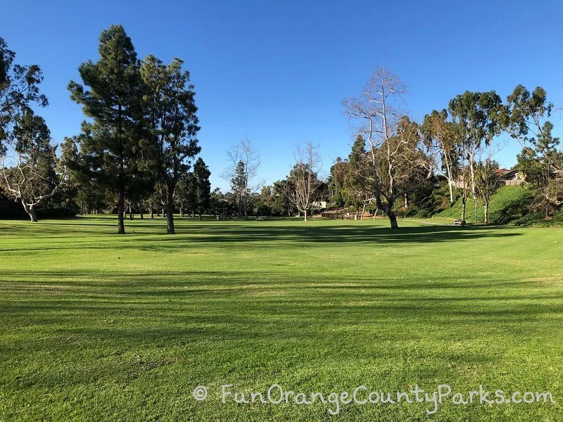 lawn area with trees