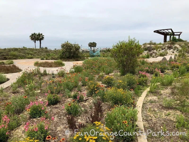 flower garden and path with a butterfly bench