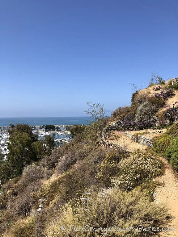 rock path along dana point bluff top trail