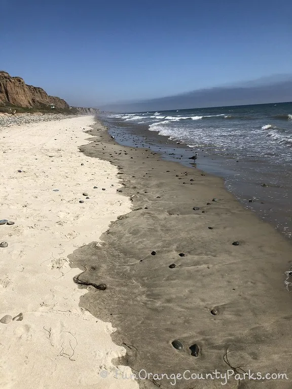 Beach view of wet and dry sand plus waves at San Onofre State Beach
