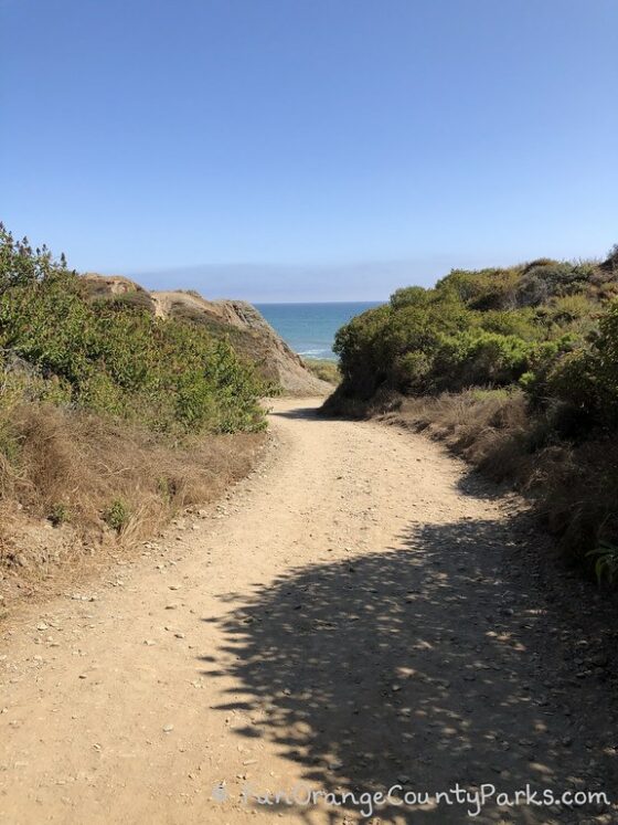 Shady spots on San Onofre Beach Trail 4