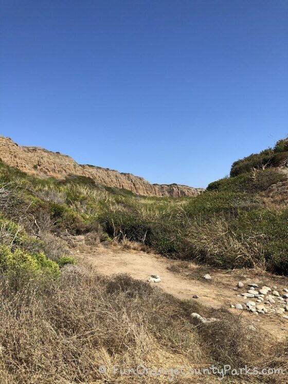 San Onofre State Beach bluffs