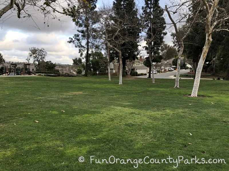 grassy area with trees and playground in the distance
