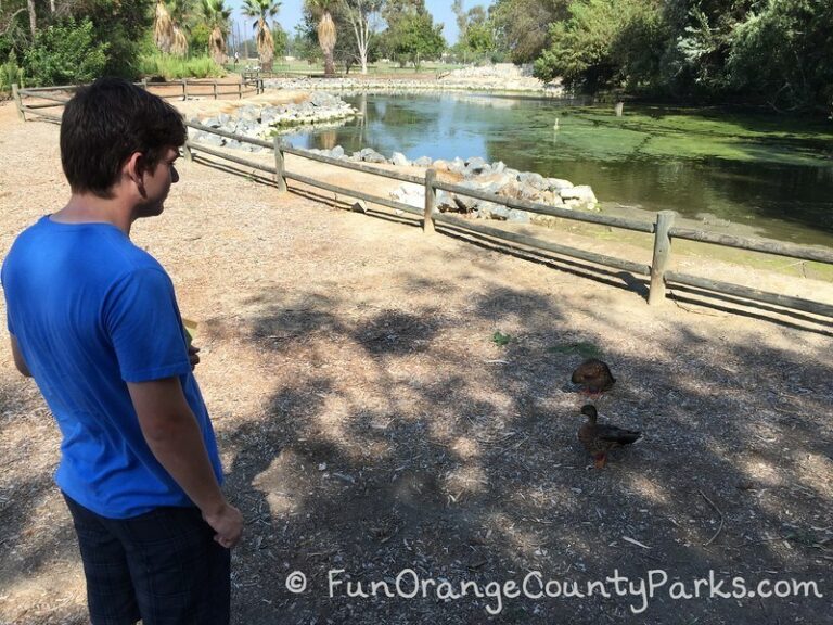 Mile Square Regional Park Nature Area Fun Orange County Parks