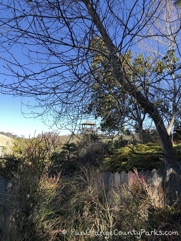 San Diego Botanic Garden overlook through winter trees