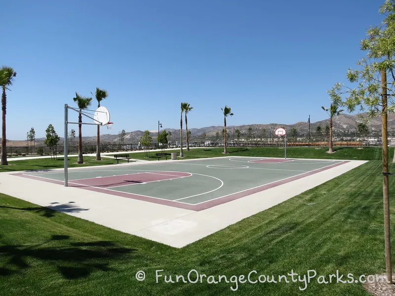 basketball court surrounded by lawn and palm trees with foothills in the distance