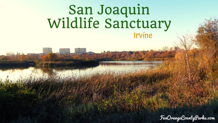 San Joaquin Wildlife Sanctuary in Irvine: Wildlife Spotting in the Wetlands