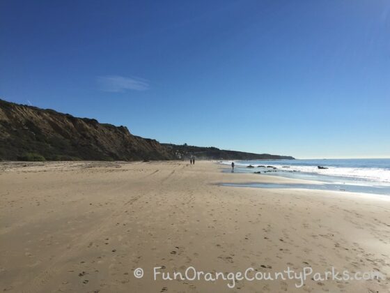 wide beach at Crystal Cove State Park which is almost empty except for a few people walking