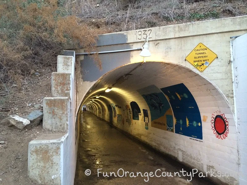 a white drainage tunnel with wet sidewalk and murals painted on the wall. a yellow sign reading Caution Tunnel Slippery When Wet and 1932 carved into the concrete above the tunnel.