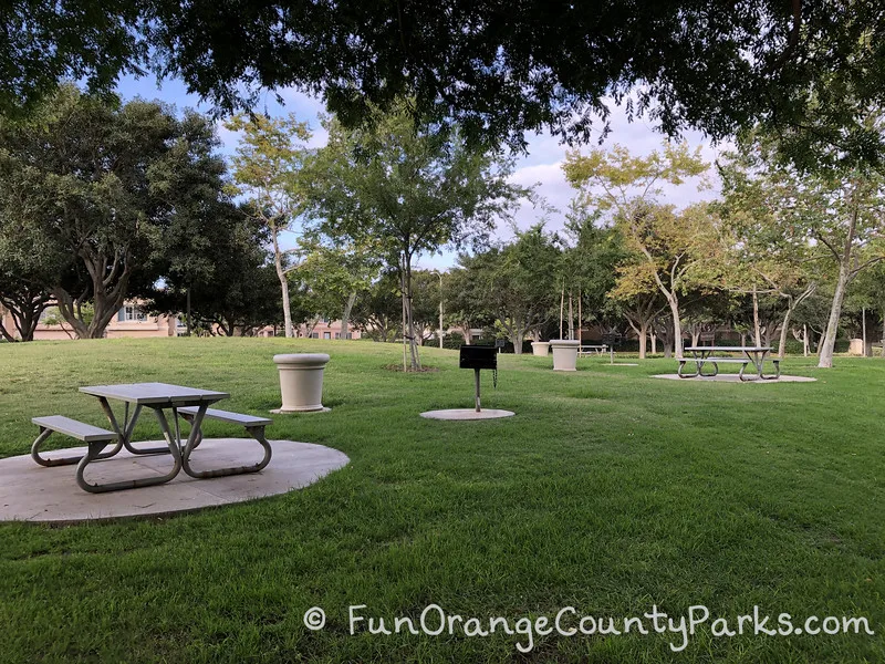 metal picnic tables on concrete pads in a grassy area under trees with trash receptacles and charcoal grills sprinkled throughout