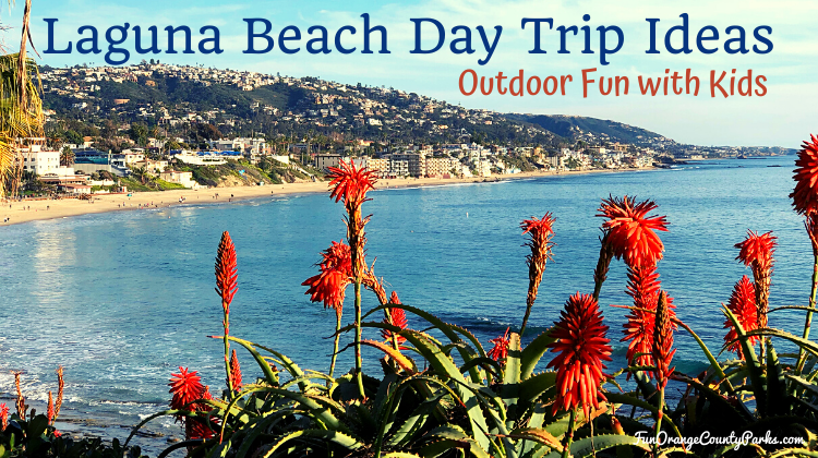 Laguna Beach Day Trip Ideas for Families