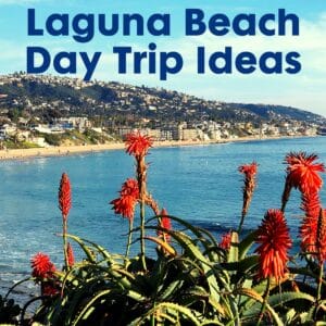 12 Laguna Beach Day Trip Ideas for Families