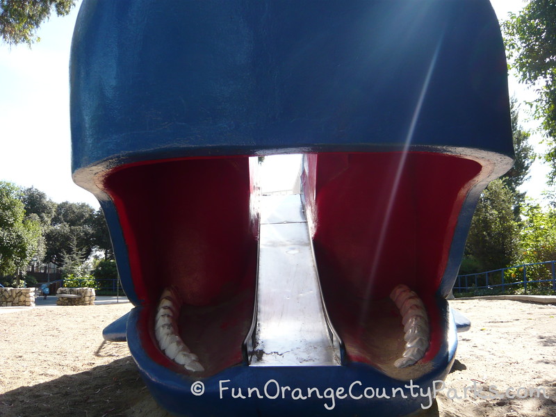 front of the whale slide with the whale's mouth open and teeth visible
