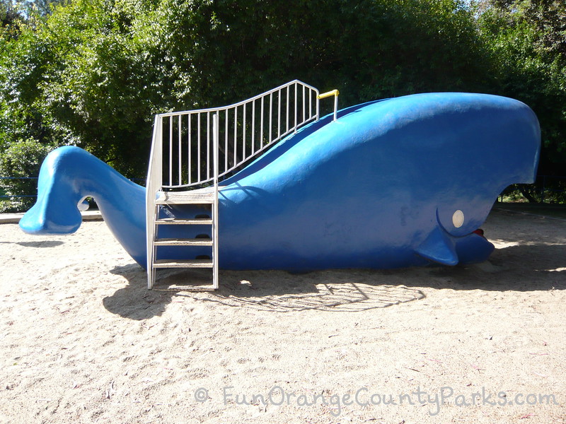 Big blue whale play structure with white staircase to reach the top and a slide that comes out the whale's mouth. 