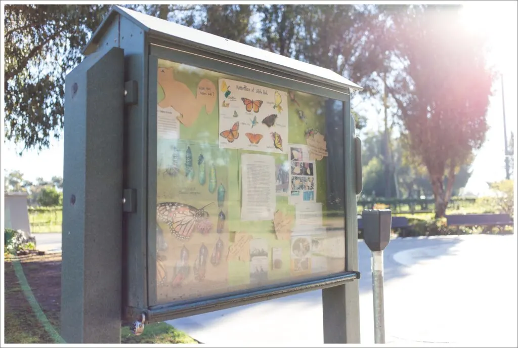 learning station built by Boy Scouts showcasing butterfly life cycle