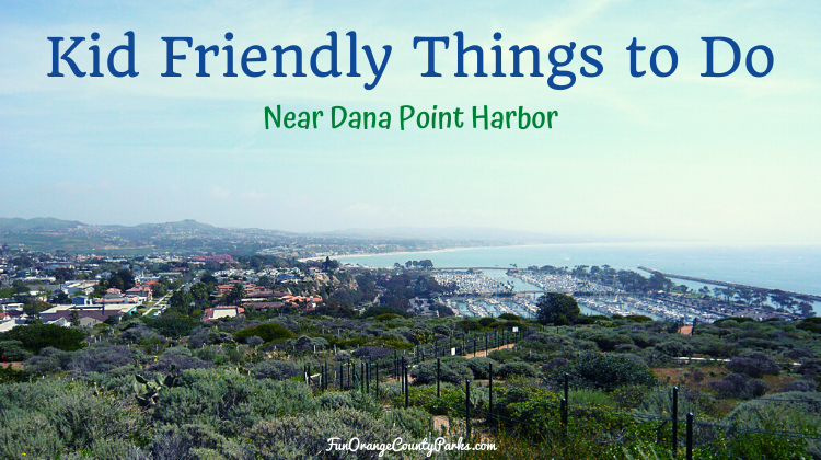 17+ Kid Friendly Things to Do Near Dana Point Harbor