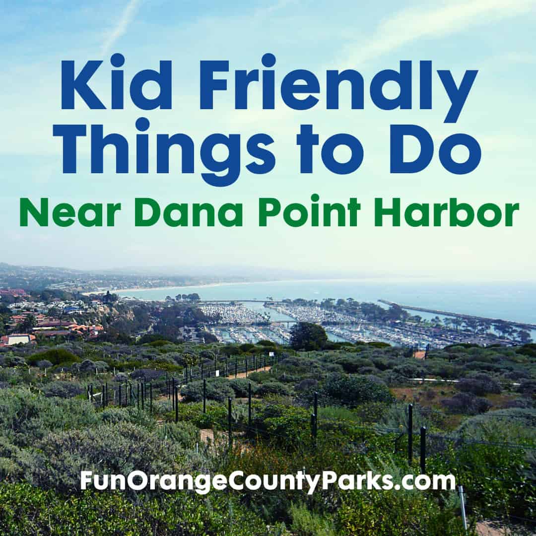 17+ Kid Friendly Things to Do Near Dana Point Harbor