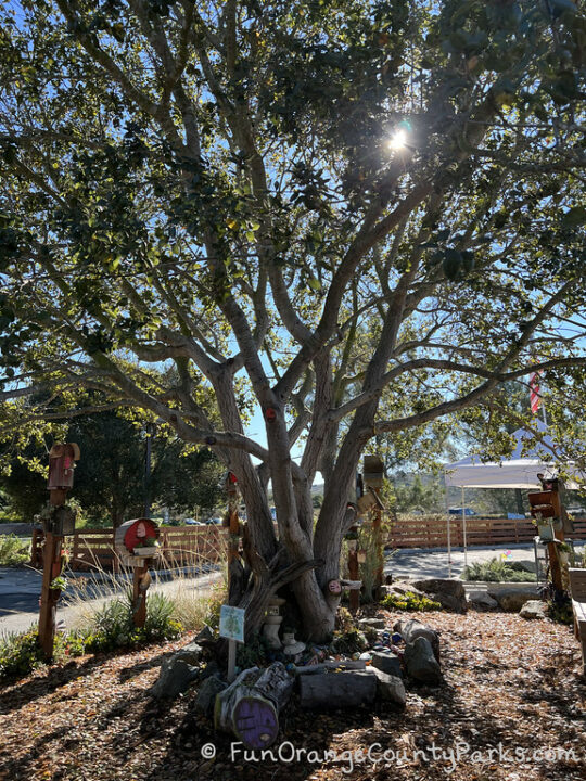 Agua Hedionda Discovery Center in Carlsbad - Fun Orange County Parks