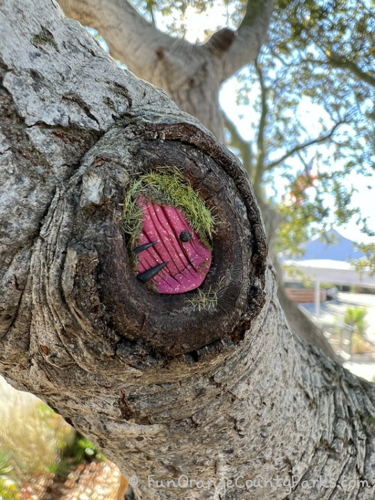 Agua Hedionda Discovery Center in Carlsbad - Fun Orange County Parks