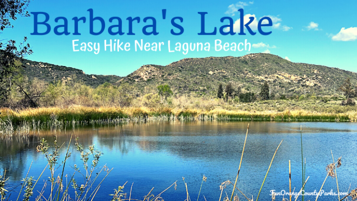 Barbara’s Lake: Easy Hike Near Laguna Beach
