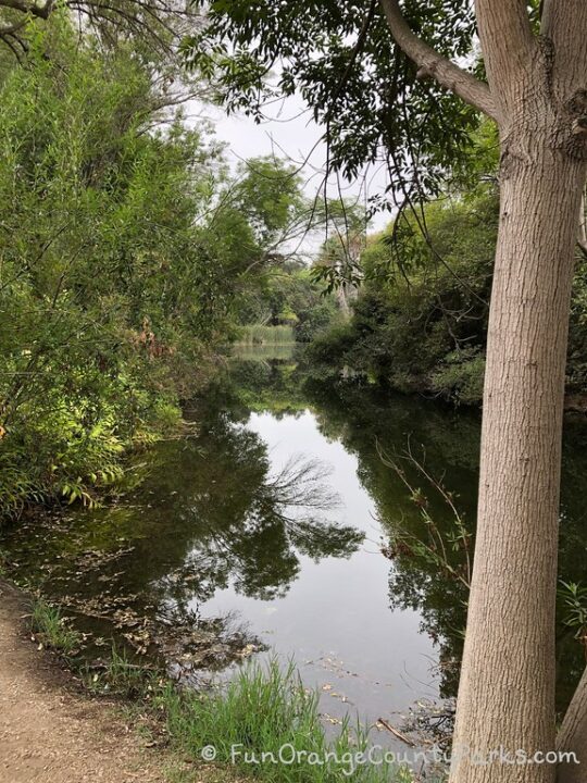 El Dorado Nature Center & Park in Long Beach (Guide for Families)