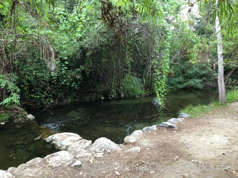 El Dorado Nature Center & Park in Long Beach (Guide for Families)