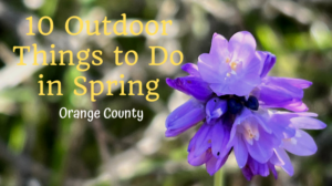 10 Orange County Things to Do in Spring