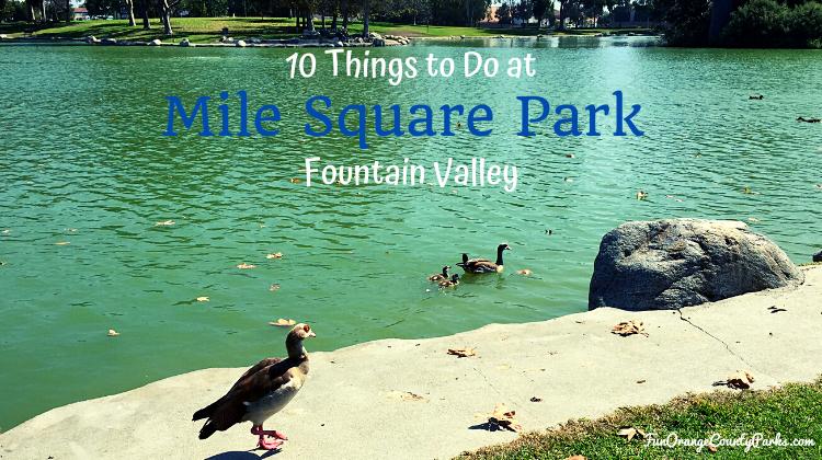 10 Things to Do at Mile Square Park in Fountain Valley