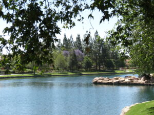15+ Stroller-Friendly Walks around Lakes in OC