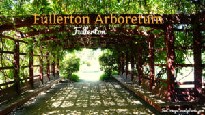 Fullerton Arboretum: Nature Walks through the Trees