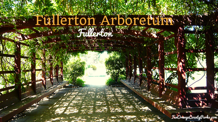 Fullerton Arboretum Featured 