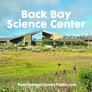 Back Bay Science Center Community Days in Newport Beach
