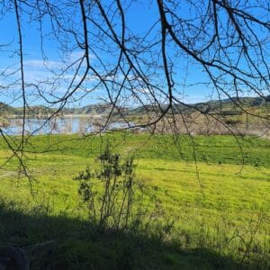 23+ Best Fishing Spots for Kids in Orange County