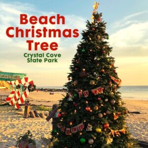Beach Christmas Tree at Crystal Cove