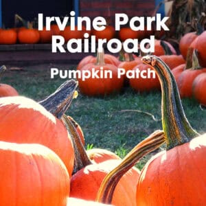 2025 Pumpkin Patch at Irvine Park Railroad